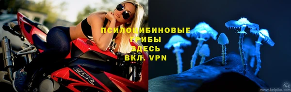 сатива Алексеевка