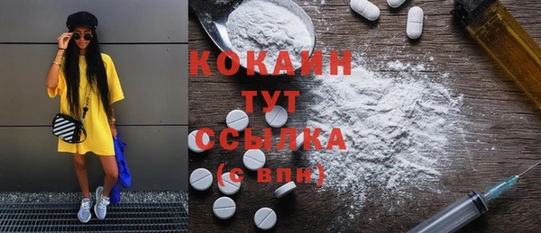 дмт Пересвет