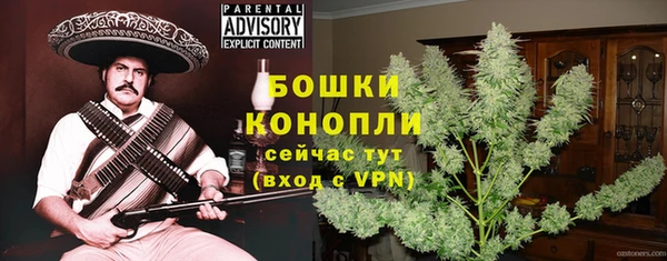 ПСИЛОЦИБИНОВЫЕ ГРИБЫ Алзамай