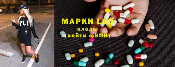 ПСИЛОЦИБИНОВЫЕ ГРИБЫ Алзамай