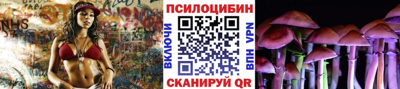Псилоцибиновые грибы прущие грибы  Кола 